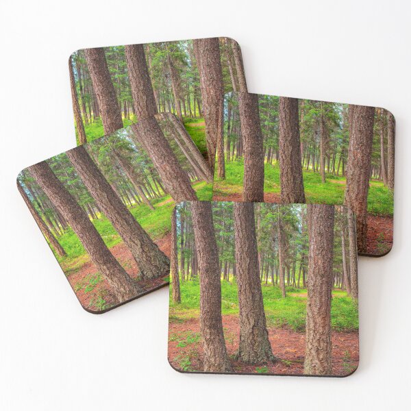 Item preview, Douglas Fir Forest Trees Fountain Lake British Columbia designed and sold by Kevin Miller Photography.