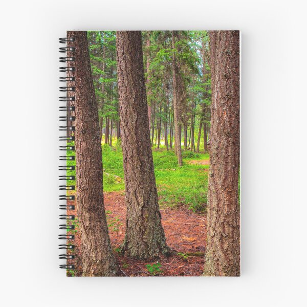 Item preview, Douglas Fir Forest Trees Fountain Lake British Columbia designed and sold by Kevin Miller Photography.