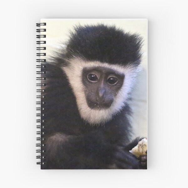 Item preview, Young Colobus designed and sold by Sheila Smith.
