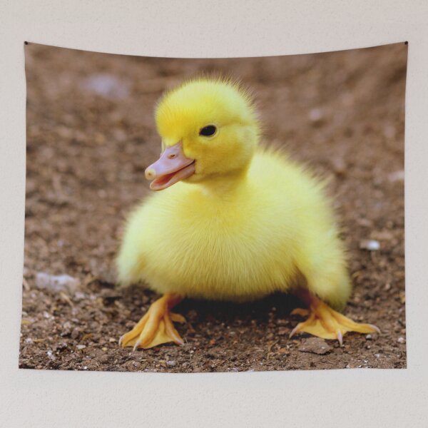 Item preview, ANIMALS #62 - Adorable Yellow Duckling designed and sold by DEL-Productions.
