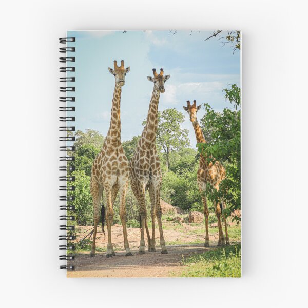 Item preview, Giraffe Kruger National Park designed and sold by nfieldin.