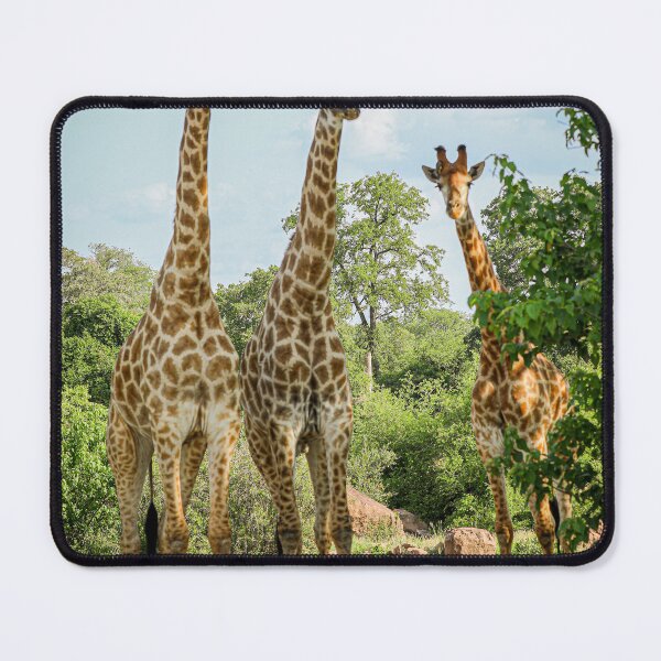 Item preview, Giraffe Kruger National Park designed and sold by nfieldin.