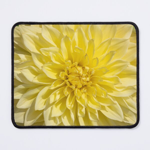 Item preview, Bright Yellow Dahlia Flower Closeup designed and sold by Harmony Of The Mind.