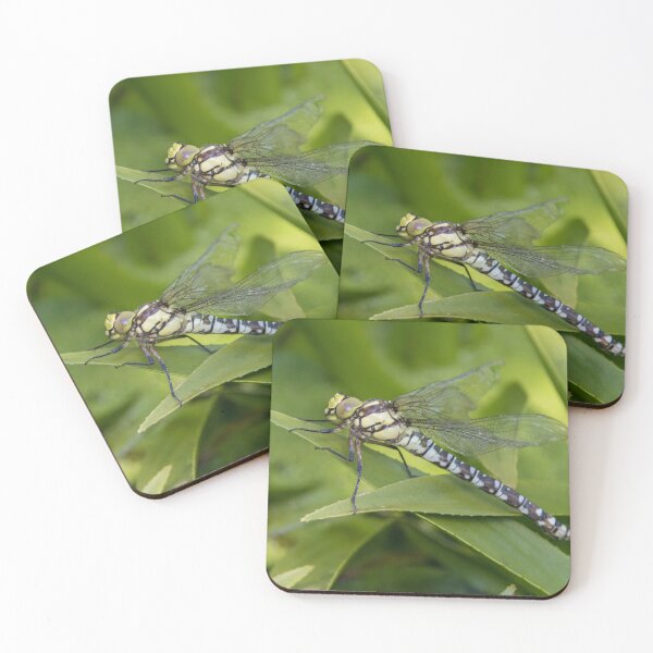 Item preview, Southern Hawker designed and sold by LaurenTucker.