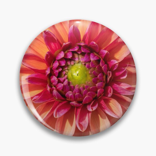 Item preview, Pink / Red Dahlia Flower Closeup designed and sold by Harmony Of The Mind.