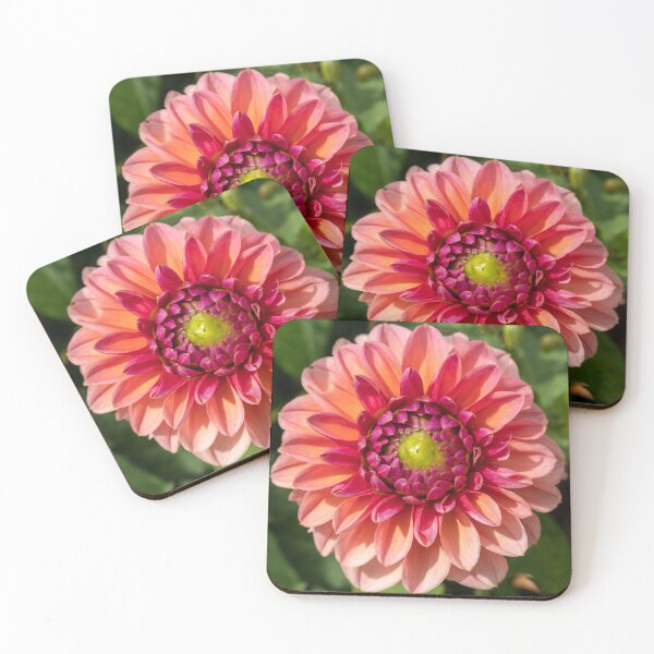 Item preview, Pink / Red Dahlia Flower Closeup designed and sold by Harmony Of The Mind.