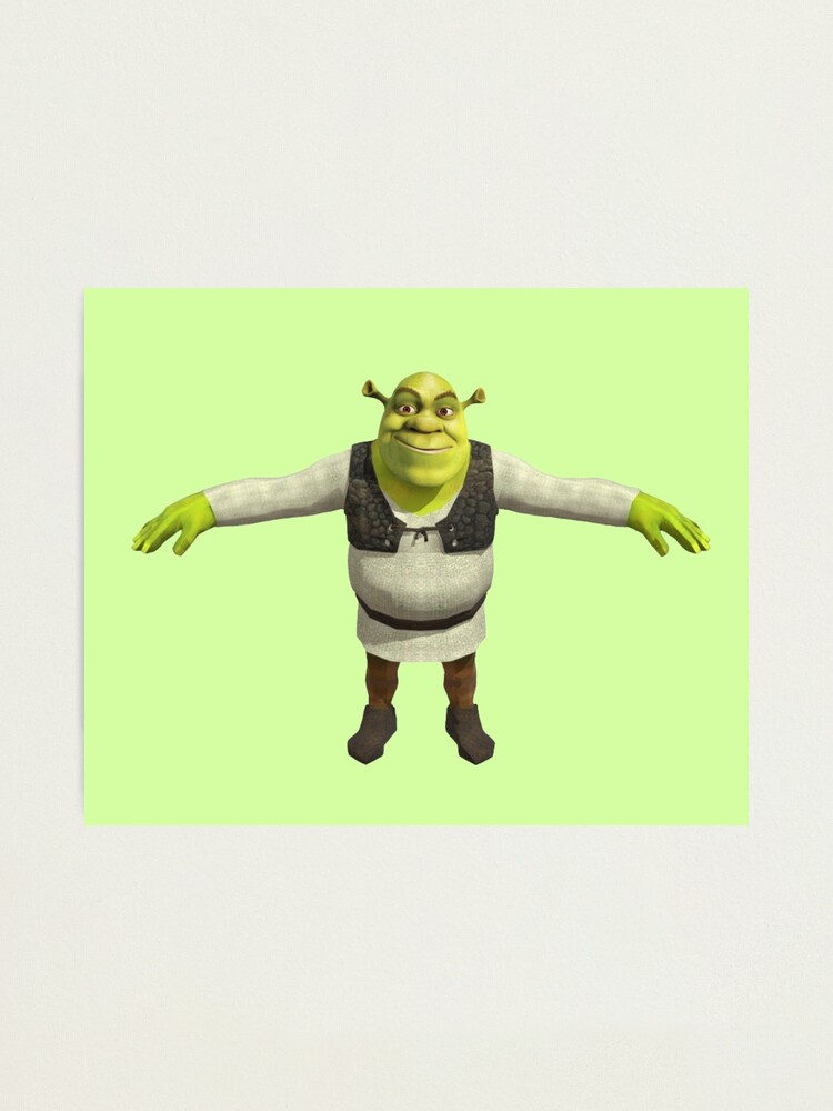 Shrek 1 - Shrek Surprised | Photographic Print
