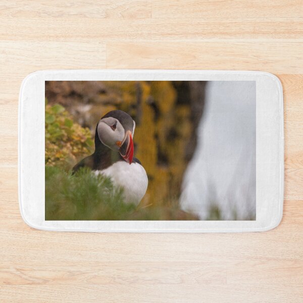 Item preview, Puffin in iceland designed and sold by pietrofoto.