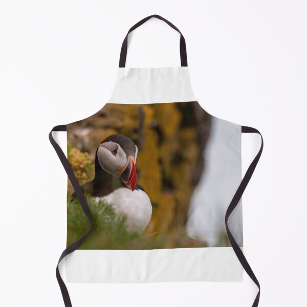 Item preview, Puffin in iceland designed and sold by pietrofoto.