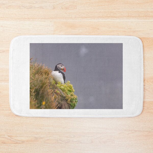 Item preview, Puffin in Iceland designed and sold by pietrofoto.