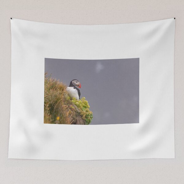 Item preview, Puffin in Iceland designed and sold by pietrofoto.