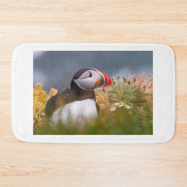 Item preview, Puffin in Iceland designed and sold by pietrofoto.
