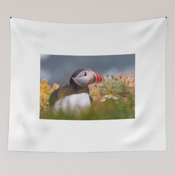 Item preview, Puffin in Iceland designed and sold by pietrofoto.
