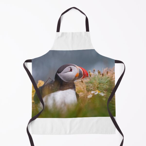 Item preview, Puffin in Iceland designed and sold by pietrofoto.