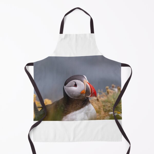 Item preview, Puffin in Iceland designed and sold by pietrofoto.