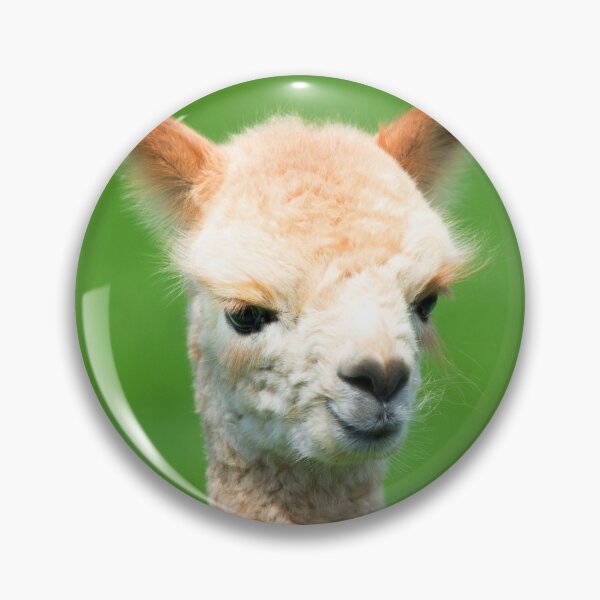 Item preview, ANIMALS #63 - Adorable Cream-Colored Baby Llama designed and sold by DEL-Productions.