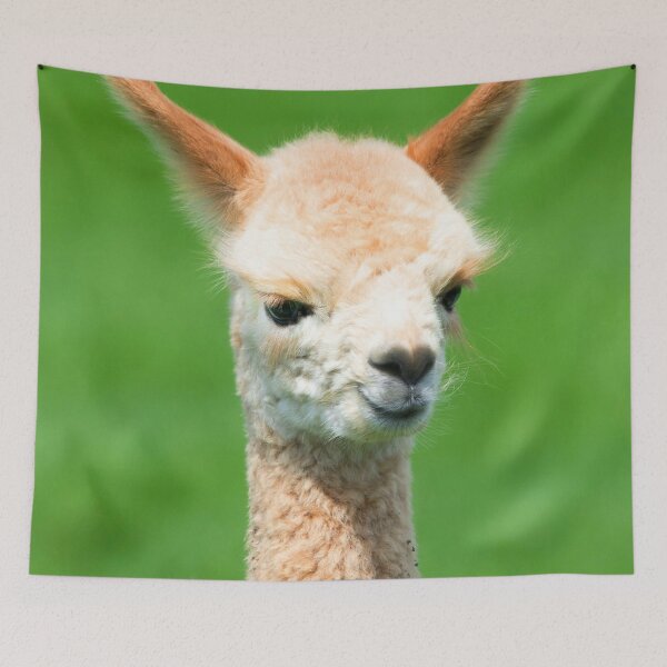 Item preview, ANIMALS #63 - Adorable Cream-Colored Baby Llama designed and sold by DEL-Productions.