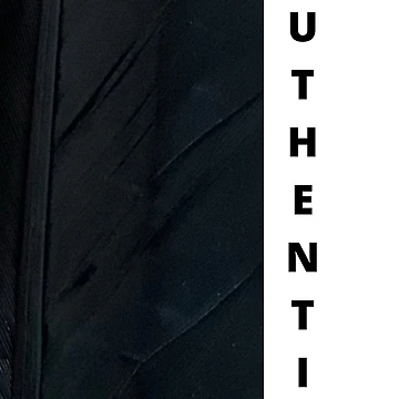 Artwork thumbnail, Authentic by NewPages
