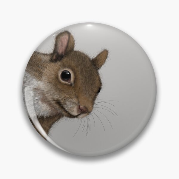 Item preview, Squirrel TShirt, Woodland Animals Shirt, Squirrel Art designed and sold by DogLifeCo.