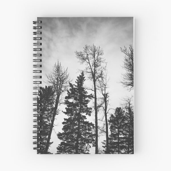 Item preview, Looking Up Series designed and sold by blancnoirphoto.