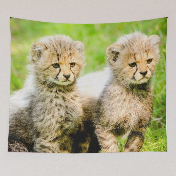 Item preview, ANIMALS #64 - Adorable Cheetah Cubs designed and sold by DEL-Productions.