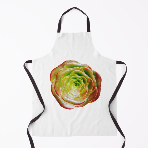 Item preview, Cactus Rose ~ Succulent Aeonium (Cropped) designed and sold by han the creative.