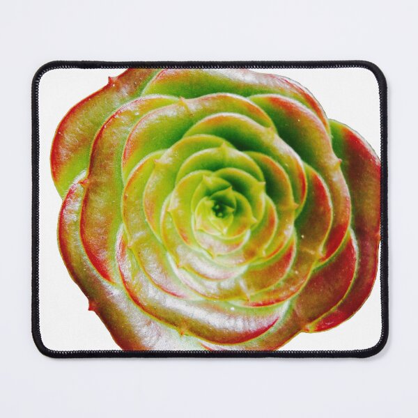 Item preview, Cactus Rose ~ Succulent Aeonium (Cropped) designed and sold by han the creative.
