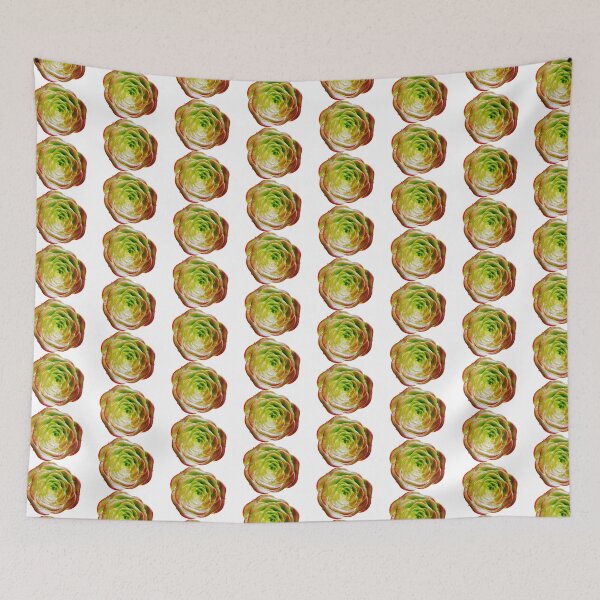 Item preview, Cactus Rose ~ Succulent Aeonium (Cropped) designed and sold by han the creative.