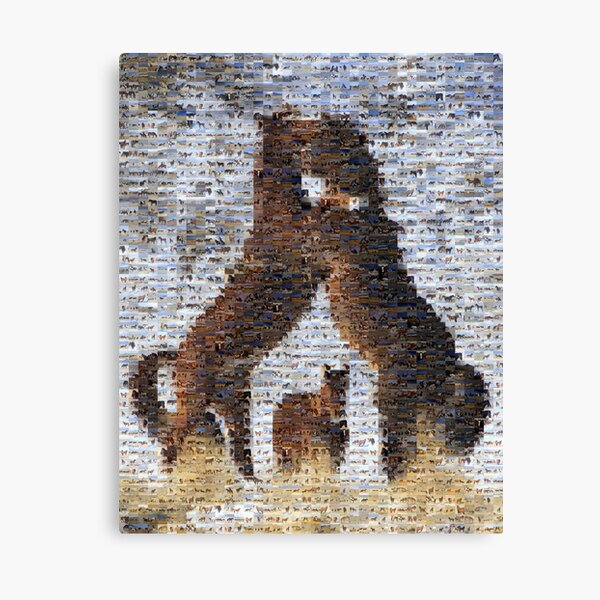 Mosiac Rivalry Canvas Print