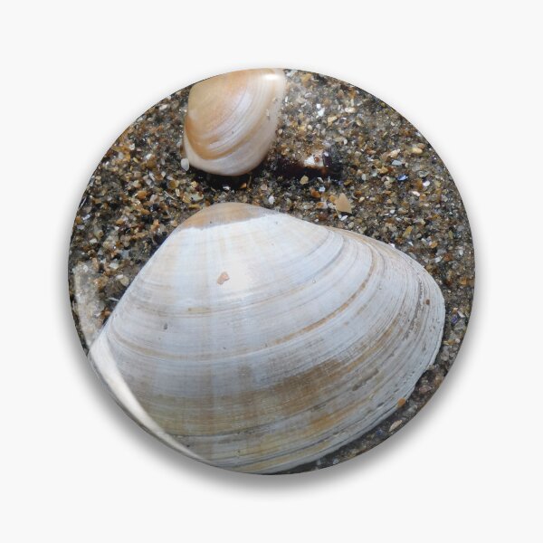 Item preview, shell designed and sold by KathleenDawson.