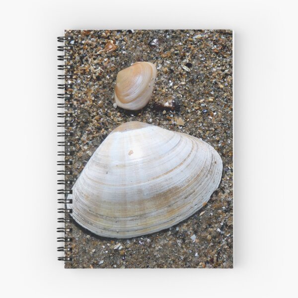 Item preview, shell designed and sold by KathleenDawson.