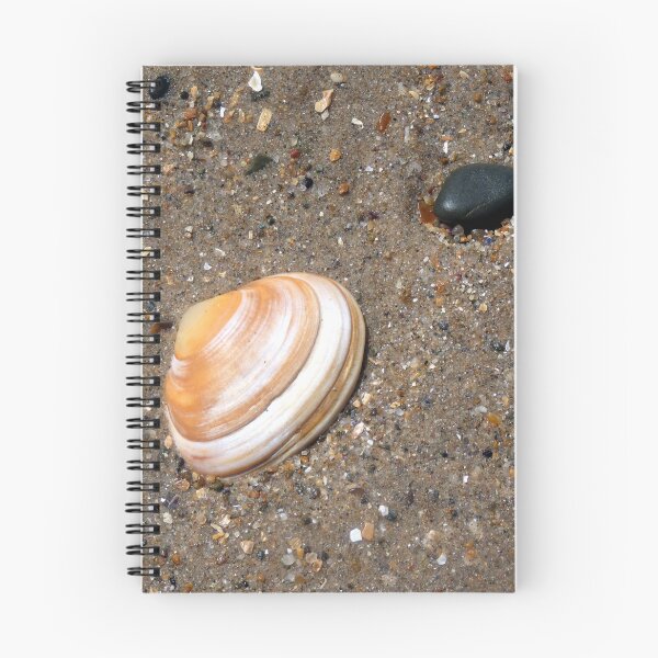 Item preview, shell designed and sold by KathleenDawson.