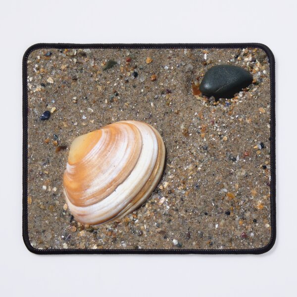 Item preview, shell designed and sold by KathleenDawson.