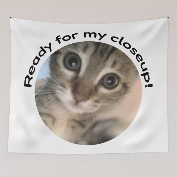 Item preview, Ready for My Closeup! designed and sold by LoveJingle.