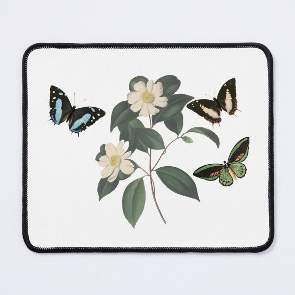 Item preview, Watercolor of white camellia flowers and butterflies - vintage flowers  designed and sold by Rubi16.
