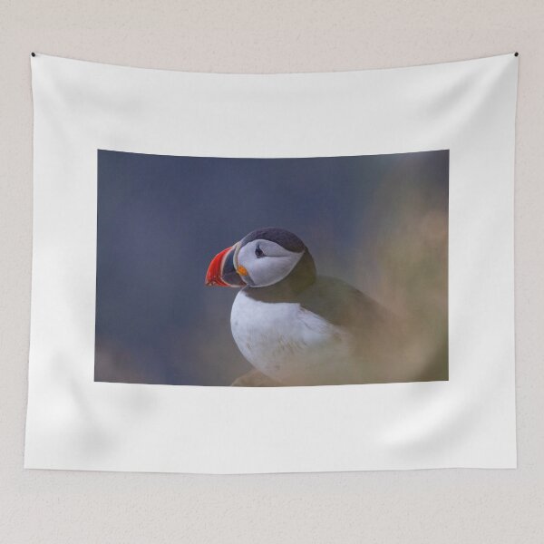 Item preview, Portrait of a puffin designed and sold by pietrofoto.