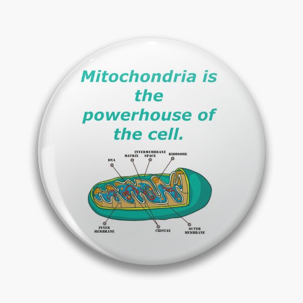 Item preview, Mitochondria is the Powerhouse of the Cell designed and sold by CryptoEnths.