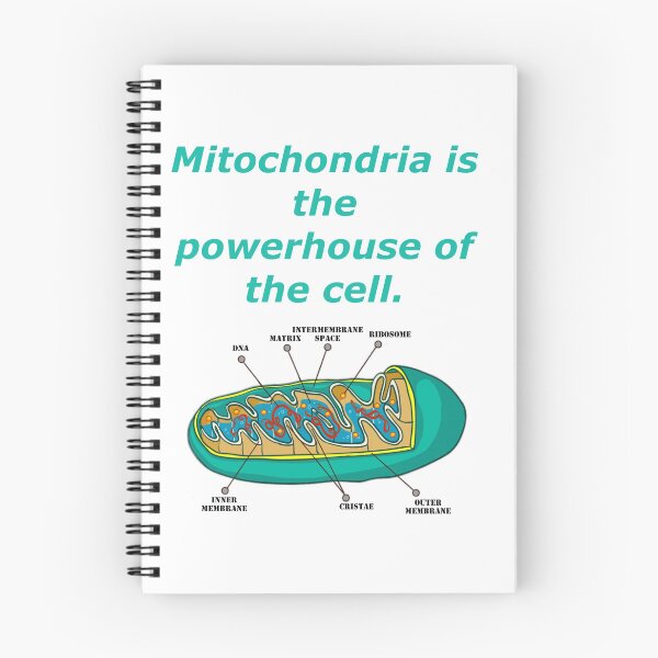 Item preview, Mitochondria is the Powerhouse of the Cell designed and sold by CryptoEnths.