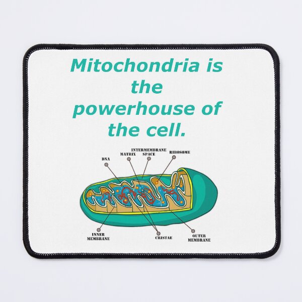 Item preview, Mitochondria is the Powerhouse of the Cell designed and sold by CryptoEnths.