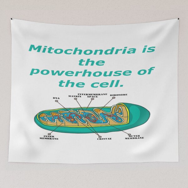 Item preview, Mitochondria is the Powerhouse of the Cell designed and sold by CryptoEnths.