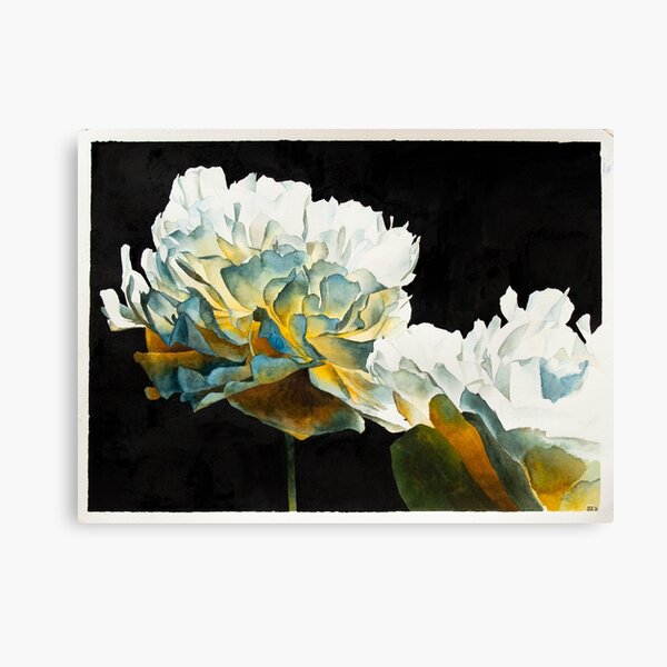 White Rose: Glow From Within Canvas Print