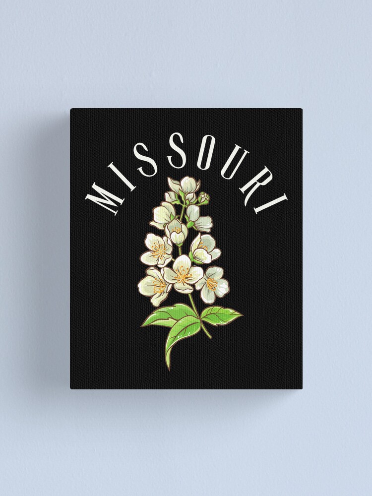 Missouri State White Hawthorn Flower Leggings | Zazzle