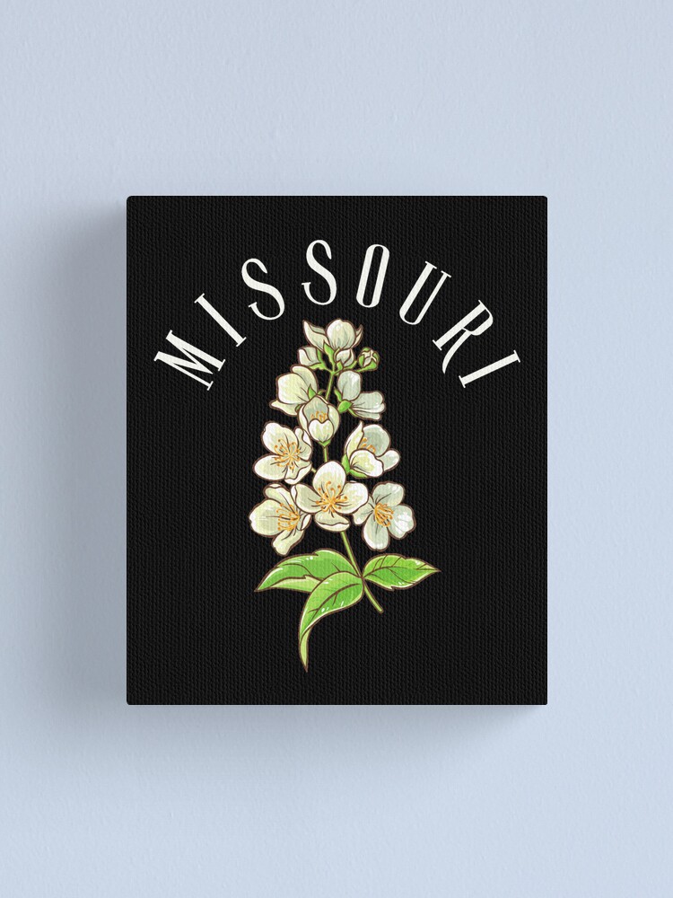 Missouri State White Hawthorn Flower Leggings