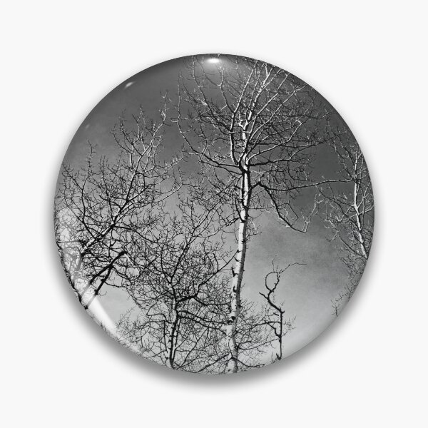 Item preview, Looking Up Series- Birch trees designed and sold by blancnoirphoto.