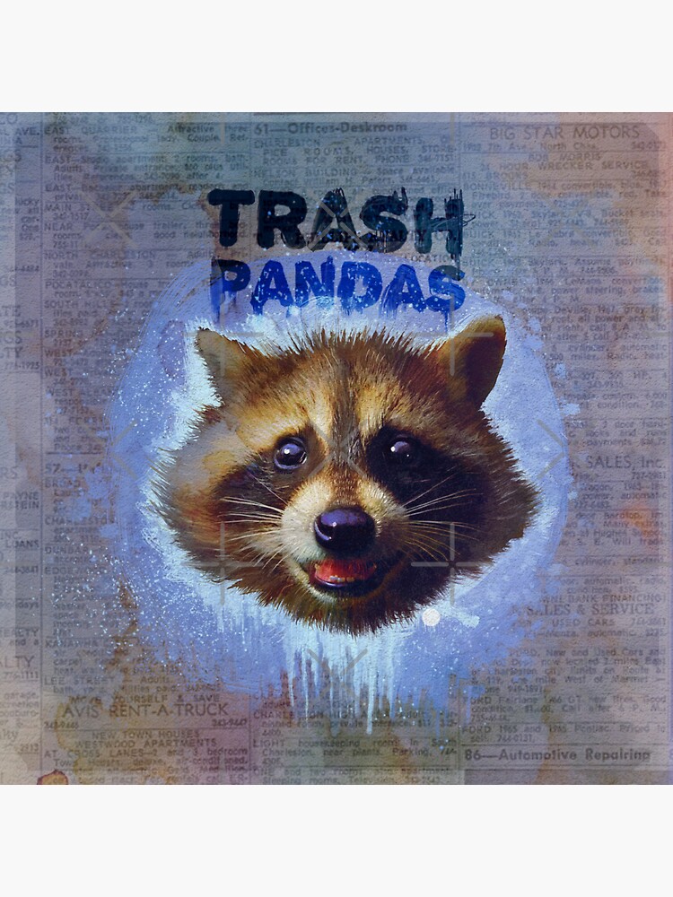 rocket city trash pandas cool Trash Panda  Sticker for Sale by