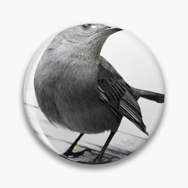 Artikelvorschau, Catbird / Emblematisches Design entworfen und verkauft von ersartz.