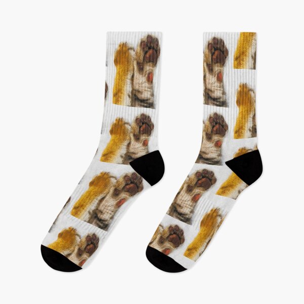 Item preview, Little Tiger Cub Paw Oil Paint Portrait, Cute Little Tiger Cub Paw Oil Paint Art, Adorable Little Tiger Cub Paw Oil Paint, Little Tiger Cub Paw Oil Paint designed and sold by Trendymotion.
