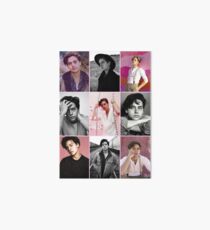 Lámina de exposición cole sprouse collage estético rosa