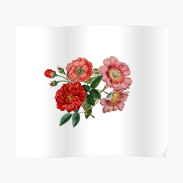 Wildflower Bouquet Transparent Sticker — Botanical State of Mind