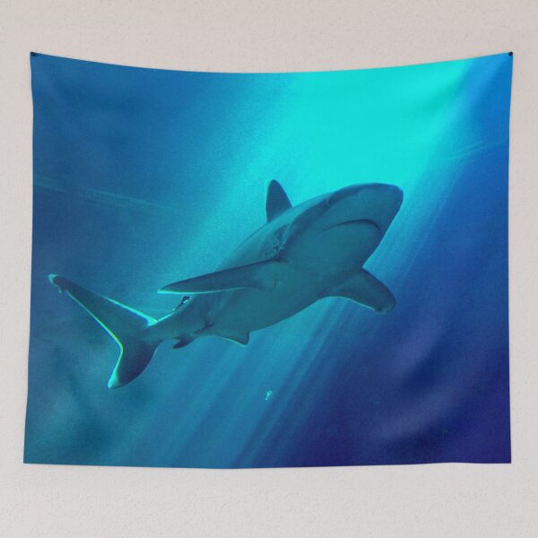 Item preview, ANIMALS #67 - Shark Bathed in Sun Rays in Blue Water designed and sold by DEL-Productions.